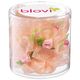 Blovi Bows Romantic 25szt. - tiulowe kokardki dla psa, w kropeczki, z elementami ozdobnymi, na gumce