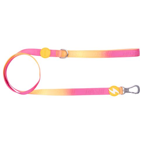 Dashi Lumix Solar Leash 120cm - miejska smycz taśmowa dla psa, różowo-żółta
