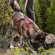 Kurgo Journey Air Harness Red - szelki do biegania dla psa, czerwone