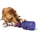 PetSafe Busy Buddy Tug-A-Jug - zabawka na przysmaki dla psa, butelka z szarpakiem