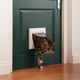 PetSafe Staywell Classic Cat Flap White - drzwiczki dla kota, białe, 4 możliwości ustawienia