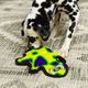 Outward Hound Durablez Gecko M Green - piszcząca zabawka dla psa, bez wypełnienia, zielony gekon
