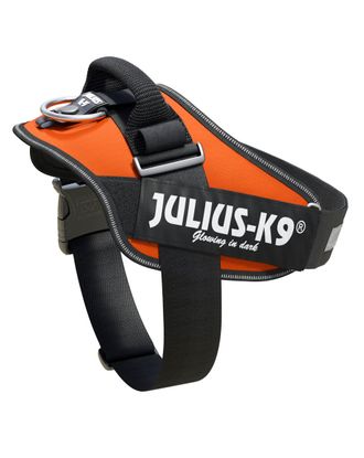 Julius-K9 IDC Powerharness UV Orange - najwyższej jakości szelki, uprząż dla psów w kolorze pomarańczowym