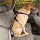 Kurgo Seatbelt Tether - pas samochodowy dla psa, do szelek Kurgo Tru Fit Harness
