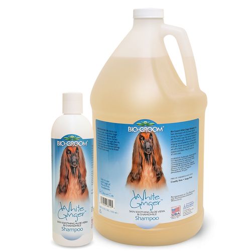 Bio-Groom White Ginger - szampon o zapachu białego imbiru oczyszczający i nawilżający szatę, koncentrat 1:4