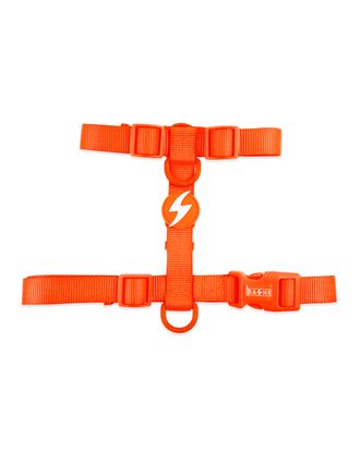 Dashi Neon Orange Back Harness - regulowane szelki guard dla psa, neonowo pomarańczowe