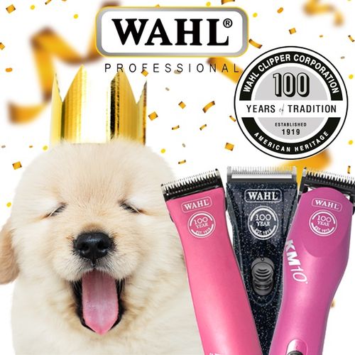 Wahl kennel best sale pro