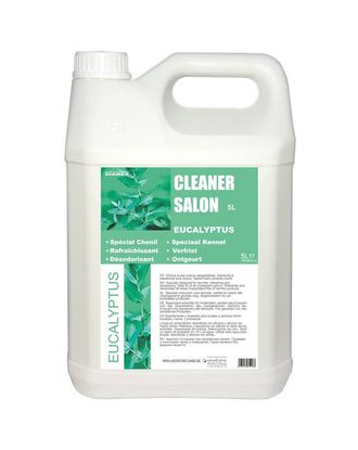 Diamex Cleaner Salon Eucalyptus - uniwersalny preparat do czyszczenia, usuwający nieprzyjemne zapachy, o aromacie eukaliptusowym - 5L
