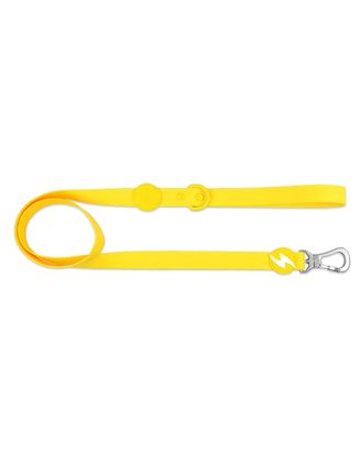 Dashi Colorflex Leash Yellow 120cm - miejska, wodoodporna smycz dla psa, żółta