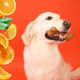Dashi Fruity Bone Orange - gryzak dla psa, z aromatem pomarańczowym