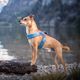 Coralpina Powermix Blue Melange Harness - lekkie szelki dla małego i średniego psa, niebieskie