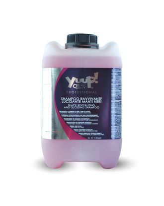 Skład Yuup! Professional Black Revitalising & Glossing Shampoo 
