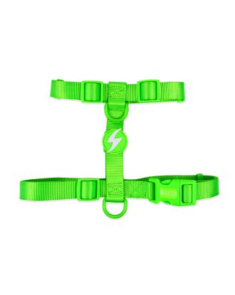 Dashi Neon Green Back Harness - regulowane szelki guard dla psa, neonowa zieleń