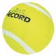 Record Dog's Tennis Ball - piłka tenisowa dla psa