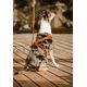 Hurtta Casual Y-Harness Cinnamon - szelki guard dla psów
