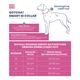 Max&Molly GOTCHA! Smart ID Cherry Bloom Collar - obroża z zawieszką smart Tag dla psa