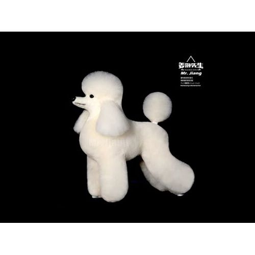 Mr. Jiang Teddy Model Dog - Dog Grooming Mannequin for Practice