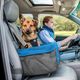 Kurgo Heather Booster Seat - fotelik dla psa do samochodu