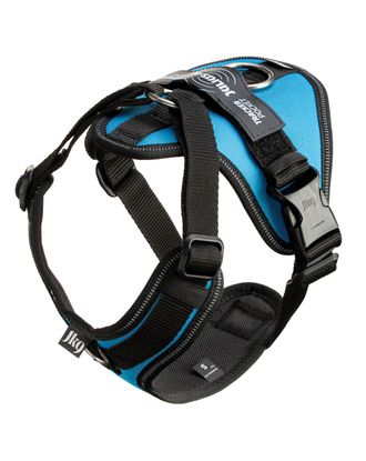 Julius-K9 IDC Longwalk Light Harness Aquamarine - lekkie szelki trekkingowe dla psa, z kieszonką na GPS, błękitne