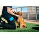 Dexas Pooch Pouch - Silicon Dog Treat Bag