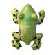 KONG Shieldz Tropics Frog M - wytrzymała zabawka dla psa, żaba z piszczałką