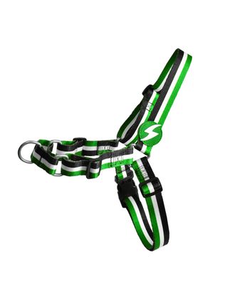 Dashi Stripes Green & Black Front Harness - szelki norweskie dla psa, no-pull, paski zielono-czarne