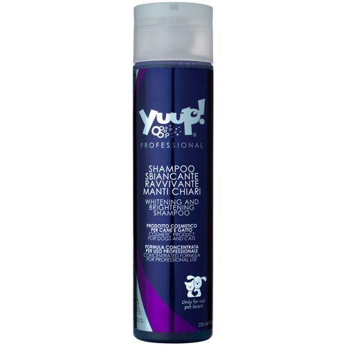 Whitening shampoo for top dogs