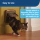 PetSafe Magnetic Collar Key with Collar - obroża z zawieszką magnetyczną do drzwiczek PetSafe Staywell Magnetic