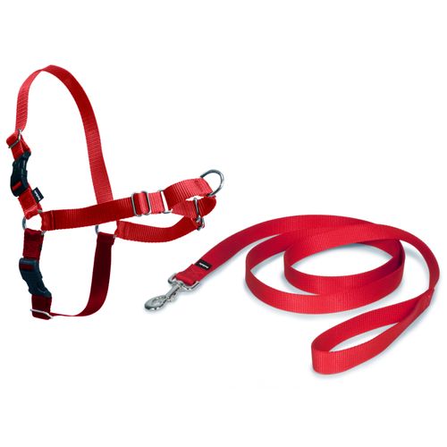 PetSafe Easy Walk Harness Red - szelki i smycz dla psa, zestaw czerwony