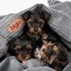 Biglo Odi Cat & Dog Blanket Grey - Soft & Cosy Corduroy & Polar