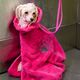Show Tech Dry Dude - Quick-Drying Microfiber Dog Bathrobe/Towel, Hot Pink