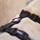 Dashi Colorflex Back Harness Black - regulowane, wodoodporne szelki guard dla psa, czarne