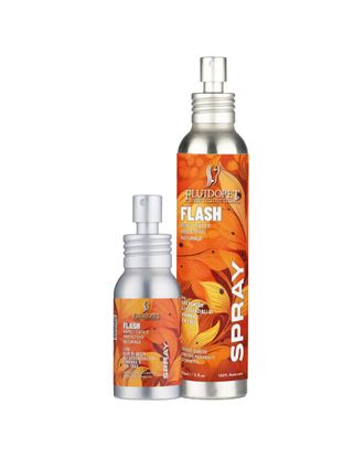 FluidoPet Flash Spray - preparat ograniczający ryzyko kontaktu z insektami, dla psa i kota