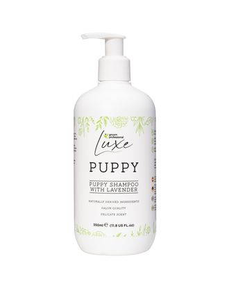 Groom Professional Luxe Puppy Shampoo 350ml - łagodny szampon dla szczeniąt, o zapachu lawendy, koncentrat 1:30