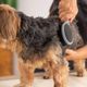 Moser Two-Sided Brush - Double-Sided Pet Brush, 2-in-1 Metal Pins + Nylon