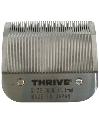 c107a6724cd8ba5704fa6f9a77e2f8ac