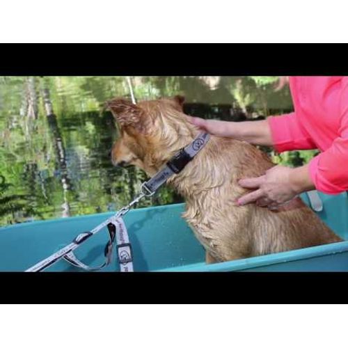 Booster 2025 bath medium