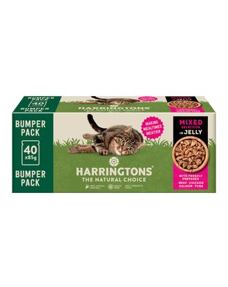 Harringtons Cat Mixed Selection in Jelly 12x85g - bezzbożowa mokra karma dla kota, fileciki w galaretce