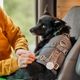 Hurtta Travel Harness Eco - szelki dla psa do samochodu, przypinane do pasów bezpieczeństwa