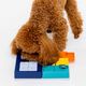 Pawzler Interactive Dog Puzzle Smarty Set - modułowa łamigłówka dla psa, zestaw 7 elementów dla sprytnych psów