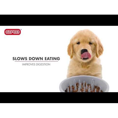 Dexas Slow Feeder 400ml Dog Bowl