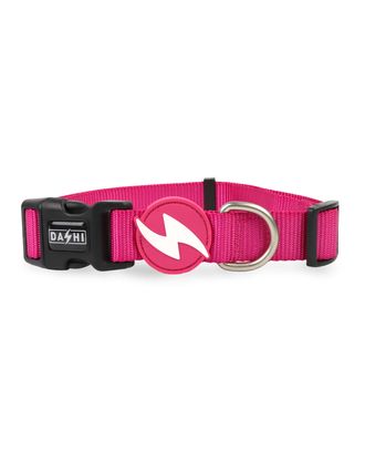 Dashi Solid Collar Pink - obroża dla psa, nylonowa, różowa