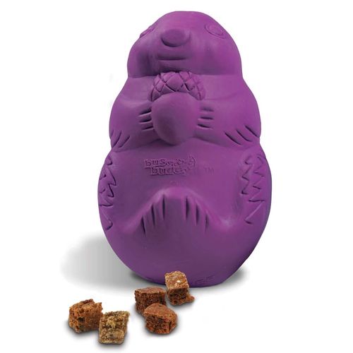 PetSafe Busy Buddy Squirrel Dude - gryzak na przysmaki dla psa, wiewiórka
