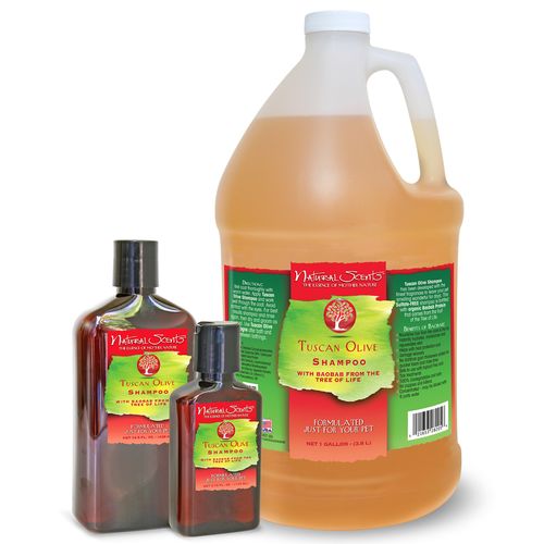 Bio-Groom Tuscan Olive - ekskluzywny szampon z wyciągiem z oliwek toskańskich