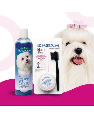 Bio-Groom Stain Free 20g + Super White Shampoo 355ml zestaw do pielęgnacji białego włosa. Szampon + pasta na zacieki pod oczami.