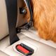 Kurgo Direct to Latch Swivel Tether - pas samochodowy dla psa, do systemu ISOFIX