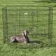MidWest ConTour Exercise Pen - Playpen, Fence, Dog Enclosure, Height 122cm