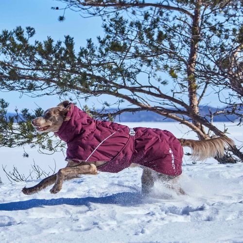 Hurtta Extreme Warmer III Eco Eggplant - Waterproof Winter Dog