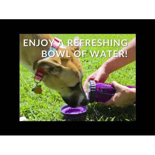 thumbnail image 2 of Dexas Popware For Pets Snack Duo Dual Chambered Hydration Bottle And Snack Container With Collapsible Pet 2 of 11