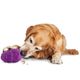 PetSafe Busy Buddy Squirrel Dude - gryzak na przysmaki dla psa, wiewiórka